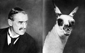 Neville Chamberlain / Llama