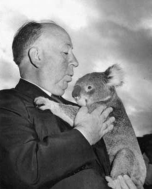 Hitchcock and Wary Koala