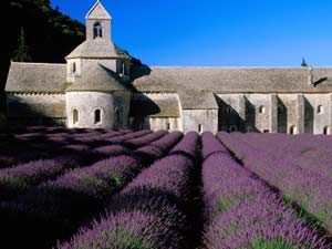Abbey of Senanque, Provence, France