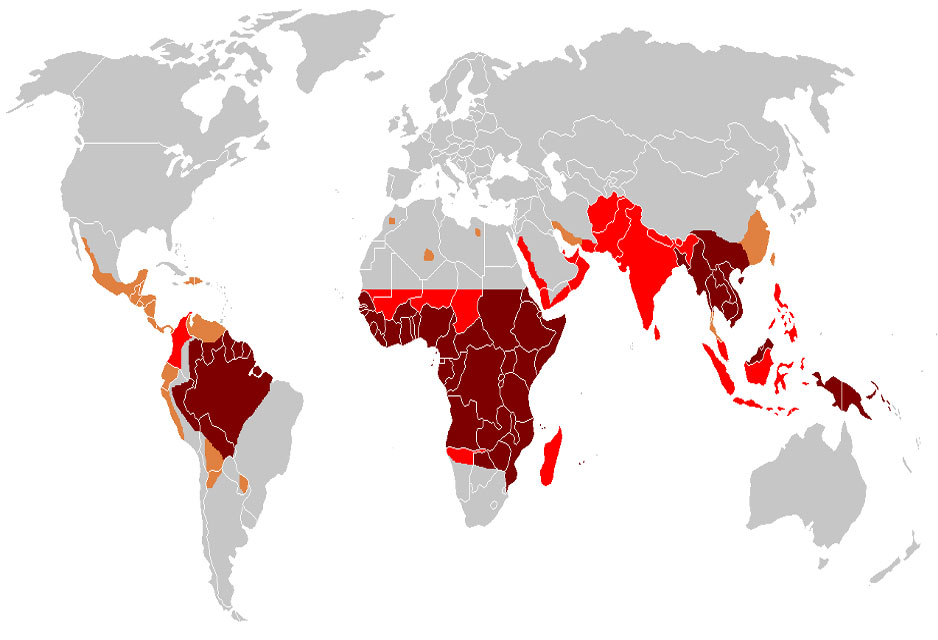 Distribution of Malaria in the World