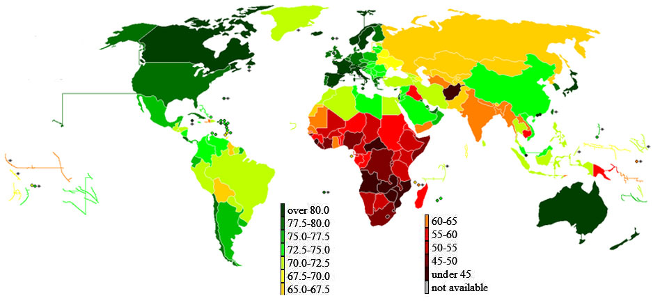 UN World Population Prospects—The 2006 Revision: 2005-2010 Life Expectancy at Birth