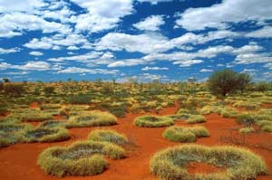 Little Sandy Desert, Australian Outback