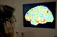 MRI of the Human Brain