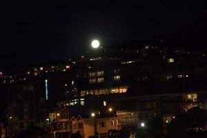 Wellington Moon