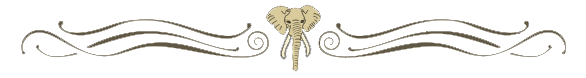 Elephant Horizontal Rule