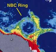 Giant North Brazil Current Rings