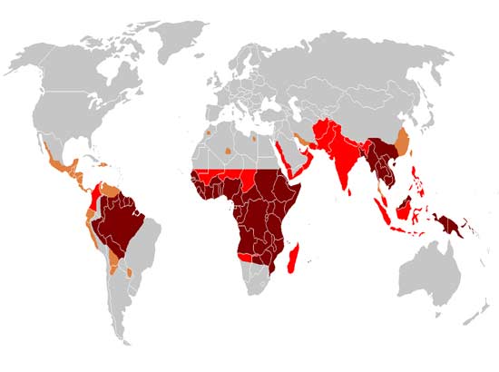Distribution of Malaria in the World