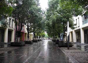 Rainy Street in German Town