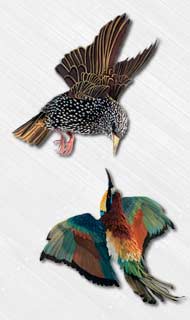 3D Birds Sculpted from Paper