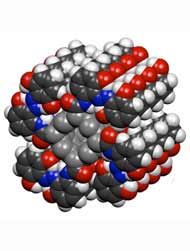 Carbon Nanotubules