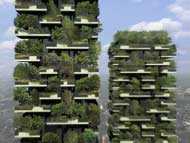 Italian Highrise Forests