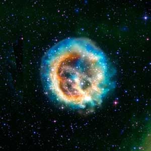 Supernova / Magellanic Cloud
