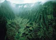 Kauai Cloud Forest