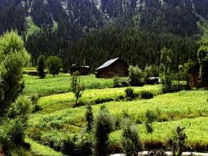 Sharda, Upper Neelum Valley, Kashmir