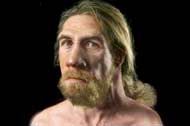 Adult Male Neanderthal