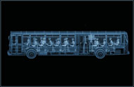 X-Ray Bus