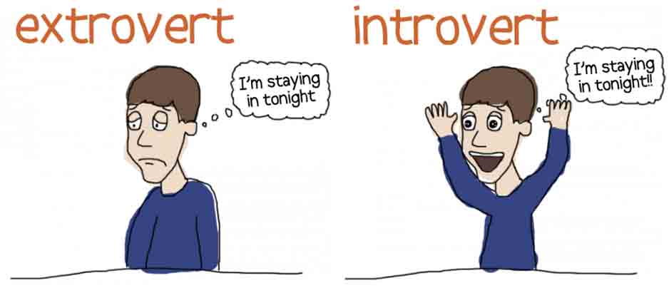 Introverts Versus Extroverts