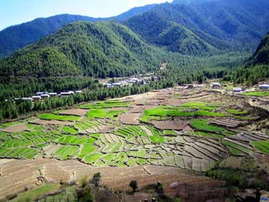 Typical Bhutanese Village and Fields