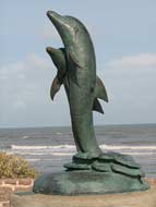 Dolphin Statue by Day
