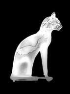 X-Rayed Gayer-Anderson Cat