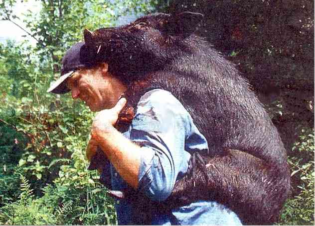 He walked for two hours with a dead pig carried - well - piggy 