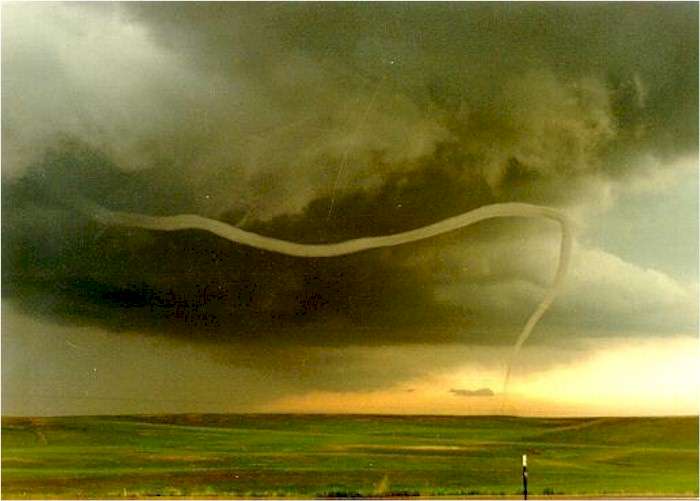 elephant trunk tornado