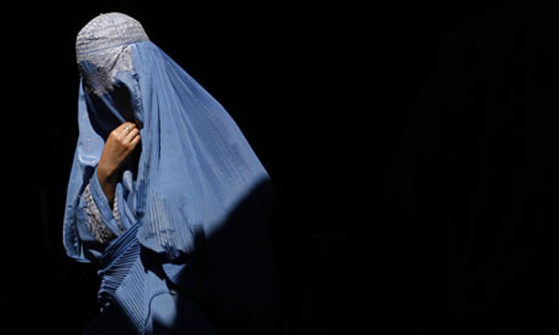 An Afghan Woman