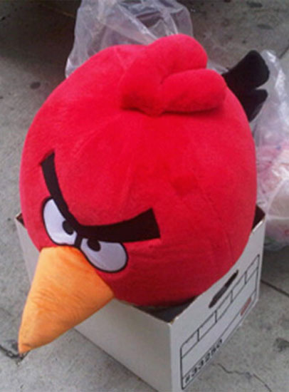 Angry Bird in a Box