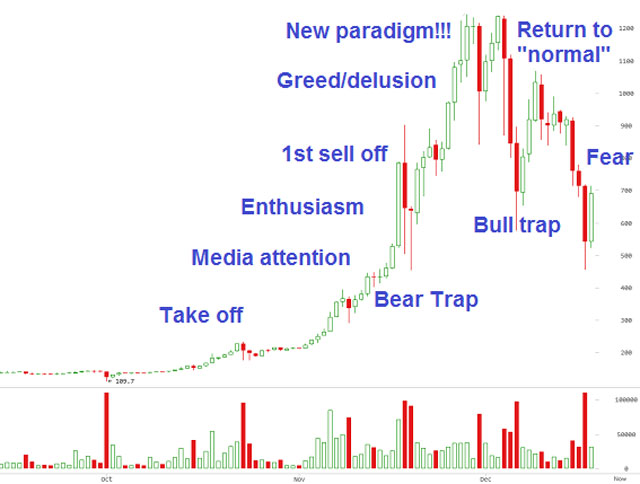 Bitcoin Conforms to the Classic Bubble Shape at the Beginning of the Year