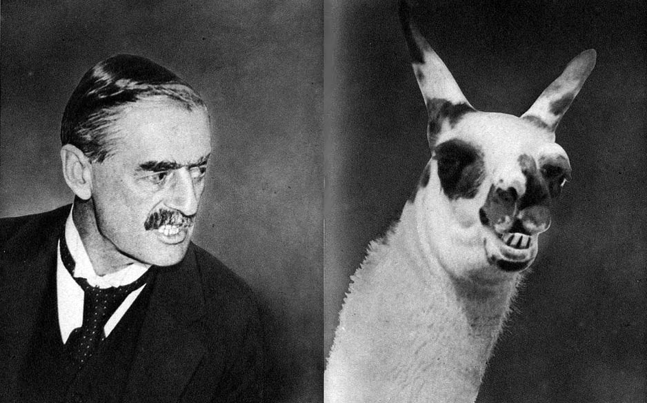 Neville Chamberlain / Llama
