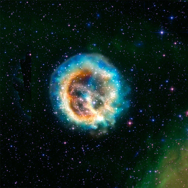 Supernova / Magellanic Cloud