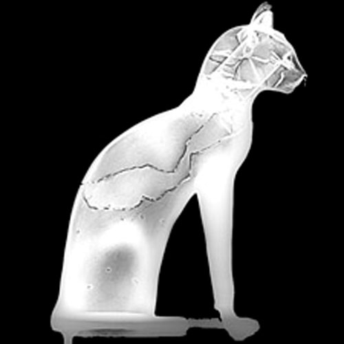 X-Rayed Gayer-Anderson Cat