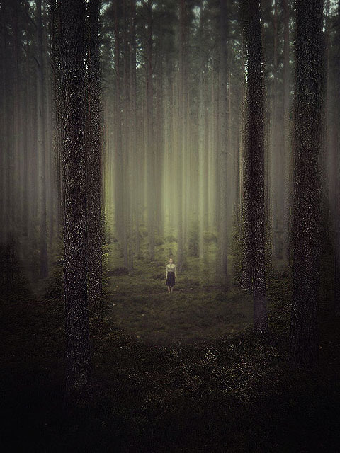 Lost in the Dark Forest