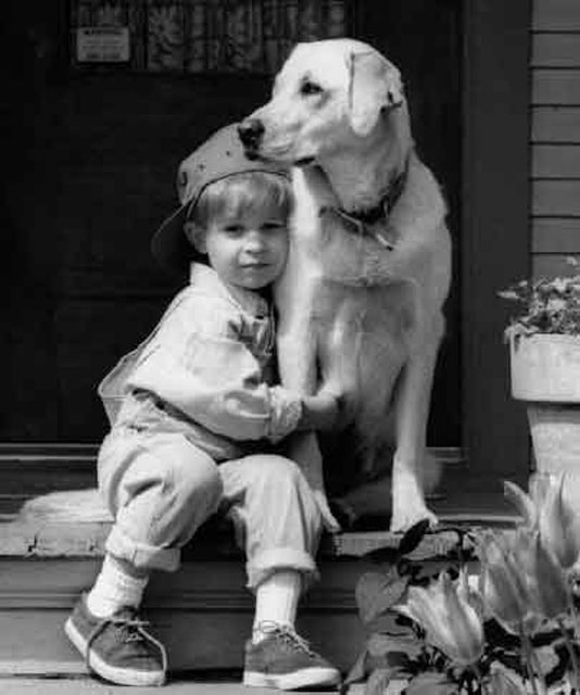 Young Children and Pets Are the Most Reliably Loyal