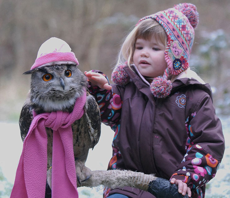 Mr Owl and His Friend