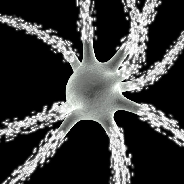 Specialised Neurons Watch What You Eat