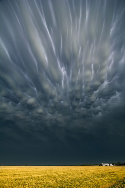 More Mammatus Clouds
