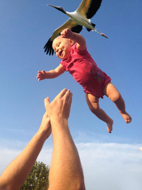 Proof That the Stork Brings Babies